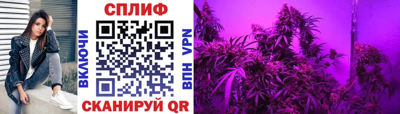 Сколько стоит Касимов OMG ССЫЛКА МЕФ Бошки Шишки A-PVP
