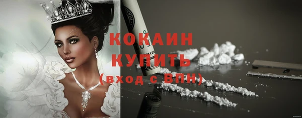 индика Рославль