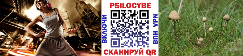 Галлюциногенные грибы ЛСД  Касимов 